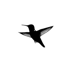 Fototapeta premium flying bird vector