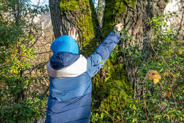 Young child in blue jacket and hat touching a moss-covered tree trunk, connecting with nature,...