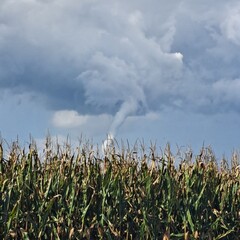 Large tornado forming above cornfield in rural landscape