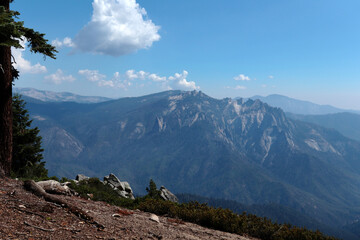 Fabulous view of the mountain and cloudy sky. A pine tree is visible on the left in the photo