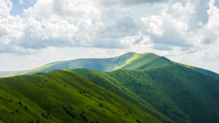 landscape Green mountain range covered with grass, without trees and bushes, Carpathians, Borzhava, mountains, tourism, travel and backpacking