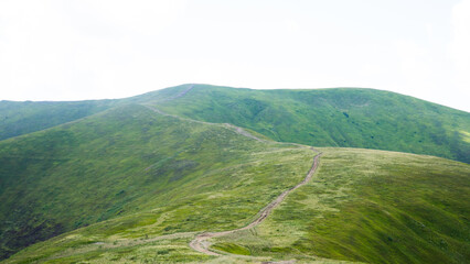 landscape Green mountain range covered with grass, without trees and bushes, Carpathians, Borzhava, mountains, tourism, travel and backpacking