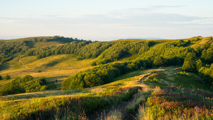 landscape in the mountains at sunset mountain meadow, glade in soft light, natural beauty, Carpathians, Borzhava ridge © Hordina Anastasia 