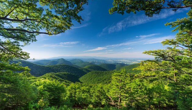 scenic view from a hilltop overlooking lush green hills forests and a distant landscape under a blue sky framed by trees - Powered by Adobe