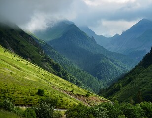 Naklejka premium majestic mountain landscape with lush greenery and misty clouds