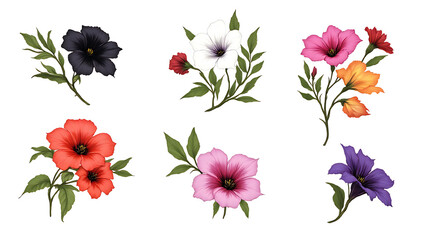 Elegant watercolor floral bouquet illustration featuring black, red, pink, white, orange, yellow, and purple flowers with lush green leaves, artistic floral frames, decorative borders, seamless 4K