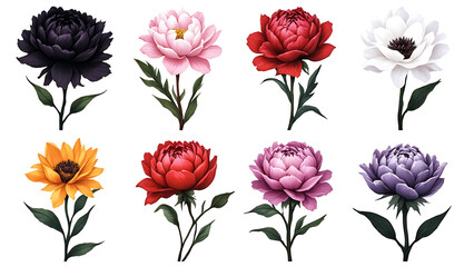 Elegant watercolor floral bouquet illustration featuring black, red, pink, white, orange, yellow, and purple flowers with lush green leaves, artistic floral frames, decorative borders, seamless 4K