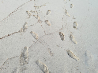 traces of footsteps and waves on a white caribbean sand beach