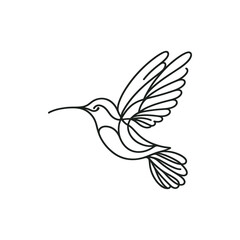 Obraz premium Elegant line drawing of a hummingbird in flight, showcasing its wings and beak against a minimalist background