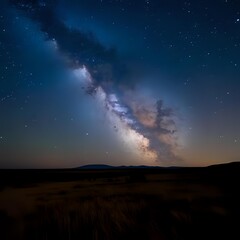 Fototapeta premium starry night sky in savanna