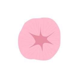 pink rose flower with star center vector design