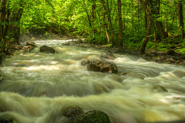Water rapids stream crossing the Jacques-Cartier National Park in Quebec Province near Quebec City, oncoming water along rocky river bed