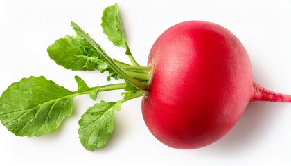 radish with green leaves isolated on white background top view
