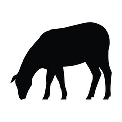 Black silhouette of a sheep grazing on a white background