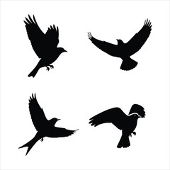 Obraz premium Silhouetted birds in flight isolated on white background, capturing the essence of freedom and nature in a graphic design with dynamic motion