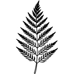 Minimal Fern Line Art Illustration