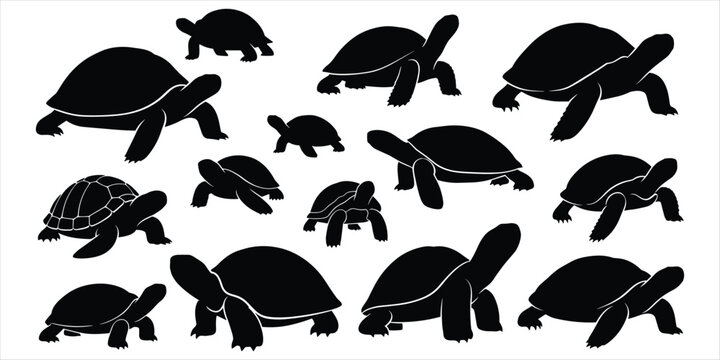 Black and white silhouettes of turtles of various sizes on white background tortoise reptile