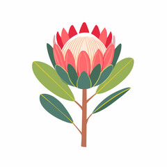 Vibrant King Protea Illustration