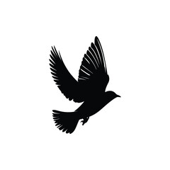 Fototapeta premium Silhouette of a bird in flight with wings spread against a white background in a simple vector style