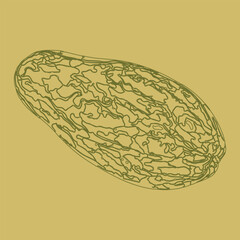 Papaya fruits.Half cut and whole papaya fruits color background