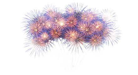 Festive Fireworks Display on Transparent Background