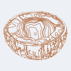 Hand drawn almond nuts isolated on white background vintage engraved sketch illustration