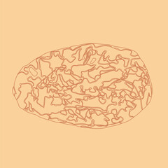Brain or mind side view line art vector color background