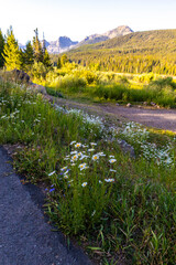 Fototapeta premium Custer Gallatin National Forest scenic landscape at sunrise