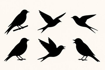 Fototapeta premium Swallow Bird Silhouette Set | Flying, Perched, and Singing Bird Vector Illustrations | Black Bird Shapes and Poses on Plain Background