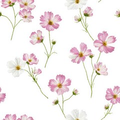 Delicate pink and white cosmos flowers in a seamless pattern.