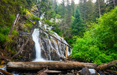 Scenic Grotto Falls in Custer Gallatin National Forest