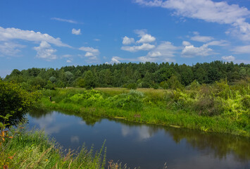 Tranquil River Scene Beneath a Blue Sky