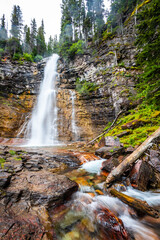 Obraz premium Scenic Virginia waterfall close up in Glacier National Park on summer day