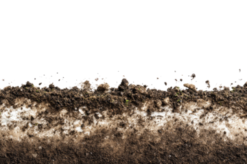 Close-up view of a textured dirt bank