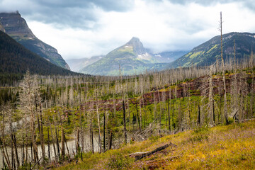Saint Mary Falls Trail through the scenic Saint Mary lake in Glacier National Park