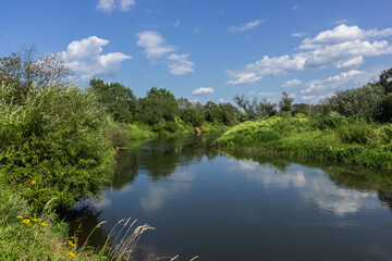 Serene River Flowing Through Lush Greenery