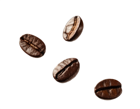Coffee beans on transparent background