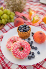 Sweet Picnic Setup with Donuts, Blueberries and Fresh Fruits on Checkered Blanket
