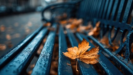 Autumnal park bench (5)