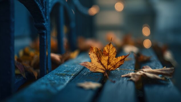 Autumnal leaf on weathered bench - Powered by Adobe