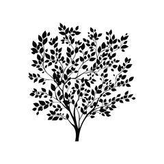 Fototapeta premium Silhouette of a deciduous tree with dense foliage and branches against a white background design element
