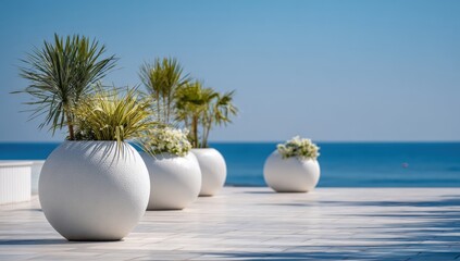 Obraz na płótnie Canvas White planters with tropical plants by the sea