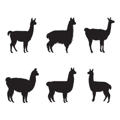 Llama and Alpaca Silhouette Collection on White Background