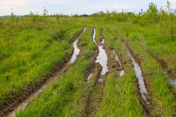 A rural landscape where a dirt road with deep puddles and waterlogged ruts cuts through a green...