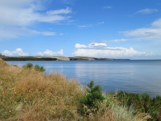 beautiful Dead dunes in Curonian spit, Lithuania, Europe with a curonian lagoon in summer