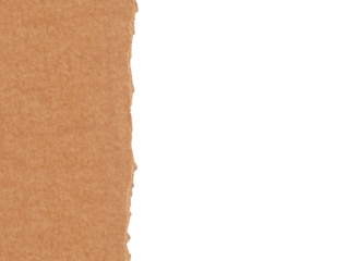 torn paper background