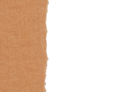 torn paper background