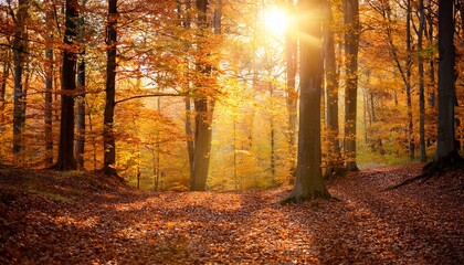 Fototapeta premium vibrant autumn leaves in a glowing forest landscape bathed in warm golden sunlight filtering through the branches the scenic
