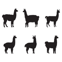 Llama and Alpaca Silhouette Set Isolated on White Background