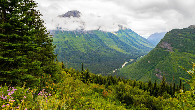 Scenic Green Lush Valley with Mountains in the Back at Glacier National Park - Powered by Adobe
